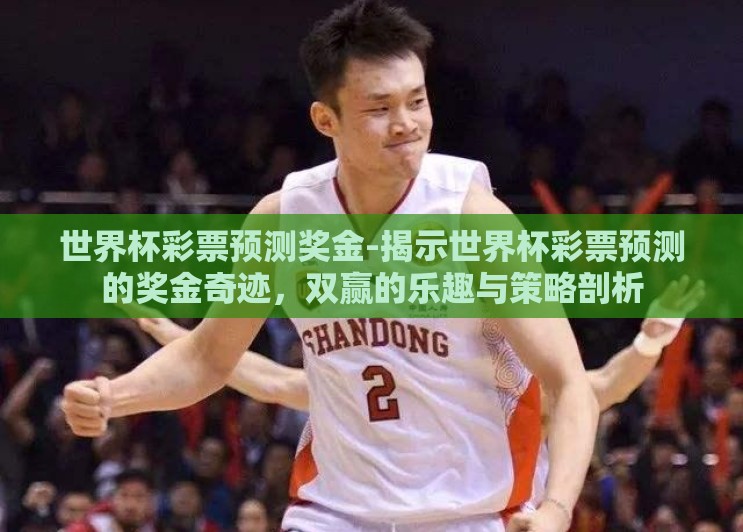 世界杯彩票预测奖金-揭示世界杯彩票预测的奖金奇迹,双赢的乐趣与策略剖析 世界杯彩票预测奖金-揭示世界杯彩票预测的奖金奇迹,双赢的乐趣与策略剖析