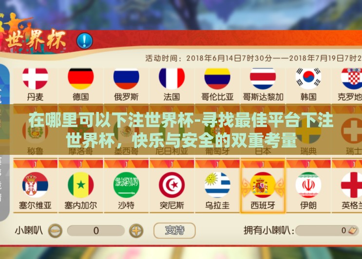 在哪里可以下注世界杯-寻找最佳平台下注世界杯，快乐与安全的双重考量