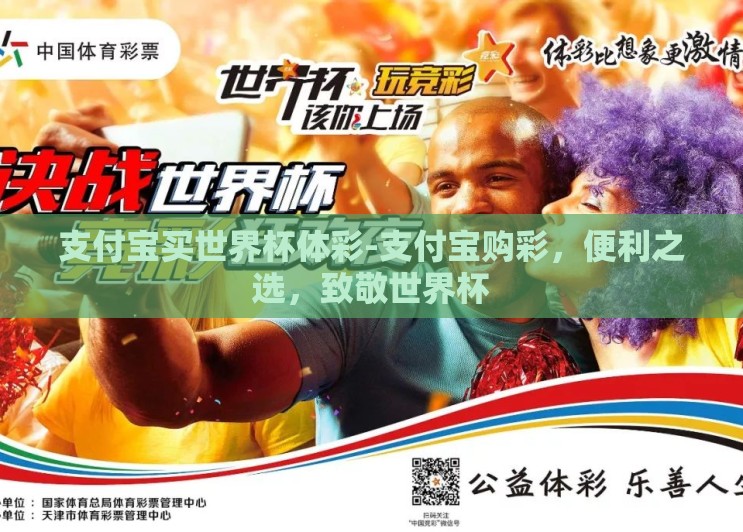 支付宝买世界杯体彩-支付宝购彩，便利之选，致敬世界杯