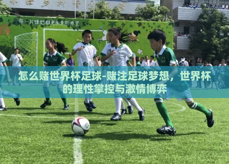 怎么赌世界杯足球-赌注足球梦想，世界杯的理性掌控与激情博弈