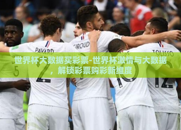 世界杯大数据买彩票-世界杯激情与大数据，解锁彩票购彩新维度