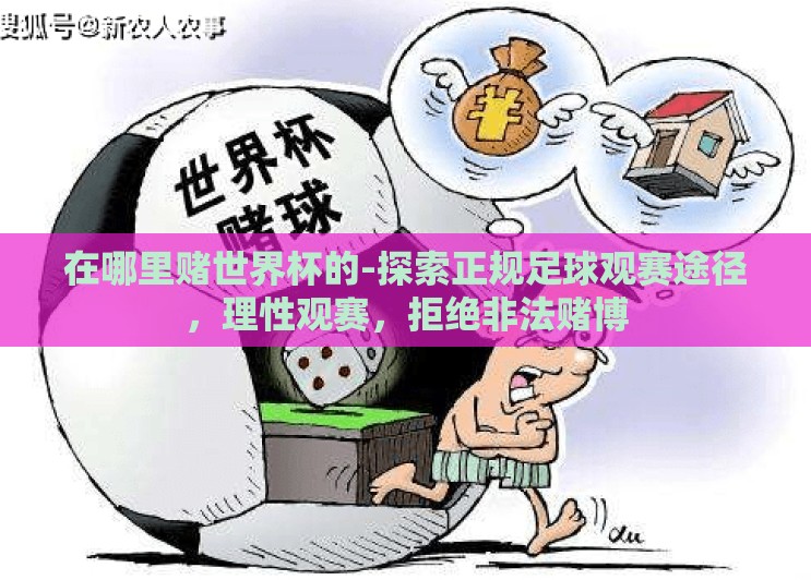 在哪里赌世界杯的-探索正规足球观赛途径，理性观赛，拒绝非法赌博