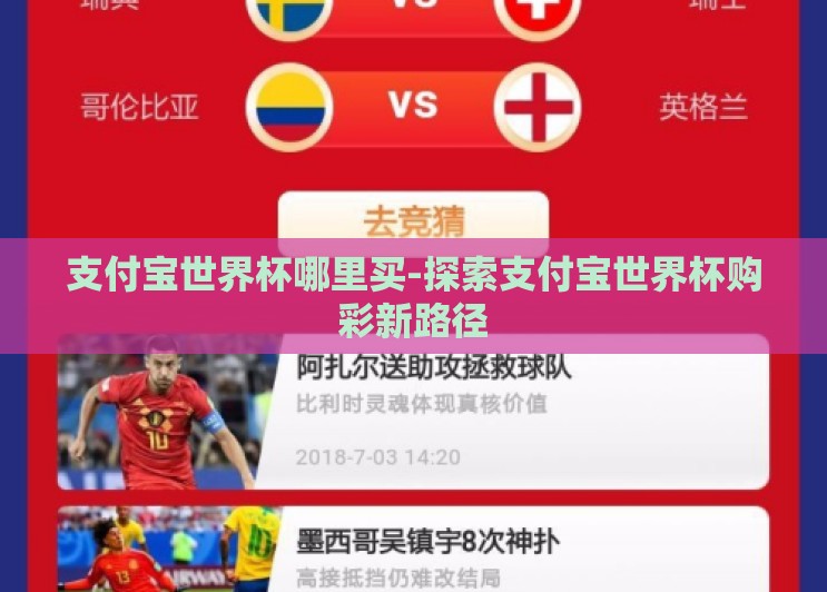 支付宝世界杯哪里买-探索支付宝世界杯购彩新路径