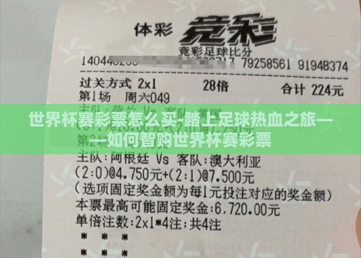 世界杯赛彩票怎么买-踏上足球热血之旅——如何智购世界杯赛彩票