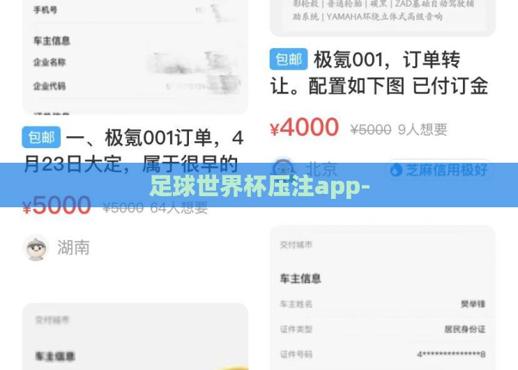 足球世界杯压注app-