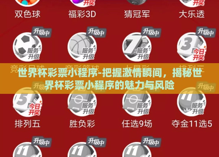 世界杯彩票小程序-把握激情瞬间，揭秘世界杯彩票小程序的魅力与风险