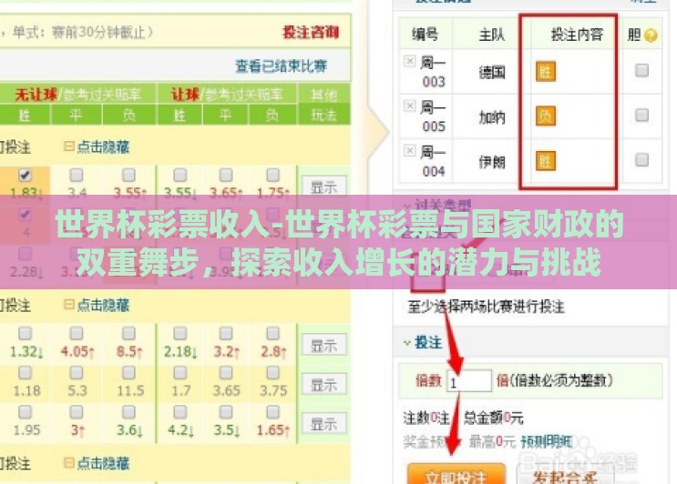 世界杯彩票收入-世界杯彩票与国家财政的双重舞步,探索收入增长的潜力与挑战 世界杯彩票收入-世界杯彩票与国家财政的双重舞步,探索收入增长的潜力与挑战