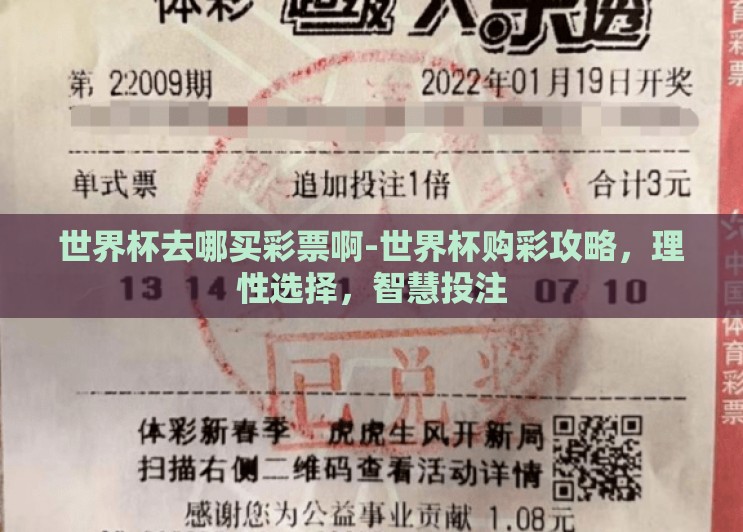 世界杯去哪买彩票啊-世界杯购彩攻略,理性选择,智慧投注 世界杯去哪买彩票啊-世界杯购彩攻略,理性选择,智慧投注