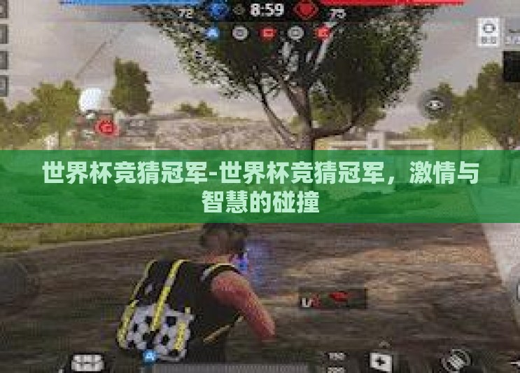 世界杯竞猜冠军-世界杯竞猜冠军，激情与智慧的碰撞