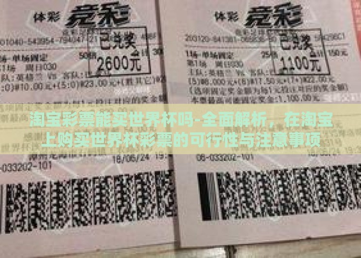 淘宝彩票能买世界杯吗-全面解析，在淘宝上购买世界杯彩票的可行性与注意事项