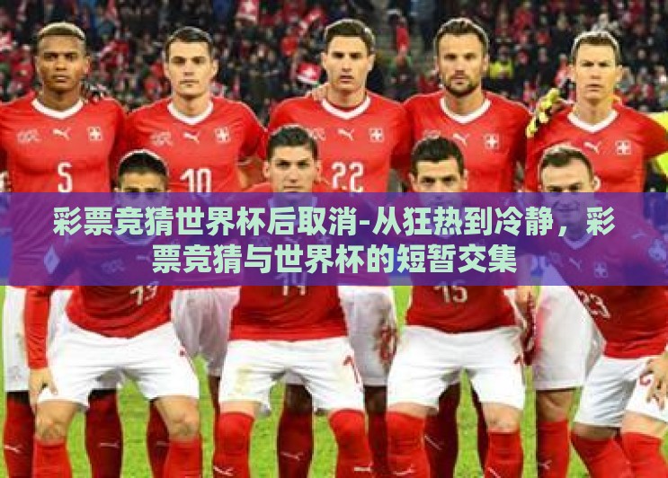 彩票竞猜世界杯后取消-从狂热到冷静，彩票竞猜与世界杯的短暂交集