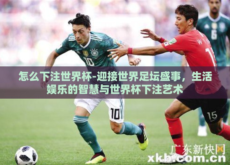 怎么下注世界杯-迎接世界足坛盛事，生活娱乐的智慧与世界杯下注艺术