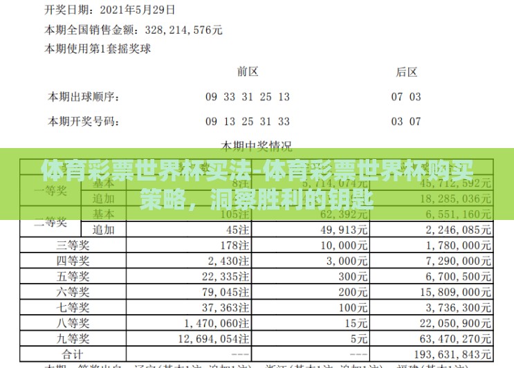 体育彩票世界杯买法-体育彩票世界杯购买策略,洞察胜利的钥匙 体育彩票世界杯买法-体育彩票世界杯购买策略,洞察胜利的钥匙