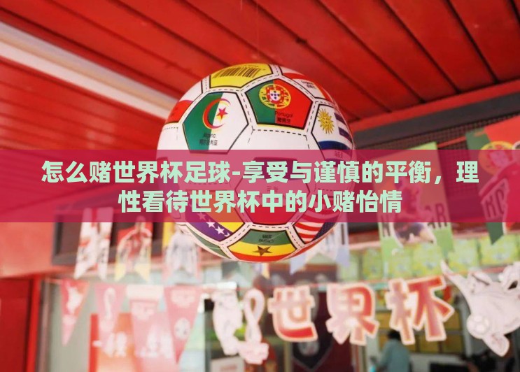 怎么赌世界杯足球-享受与谨慎的平衡，理性看待世界杯中的小赌怡情