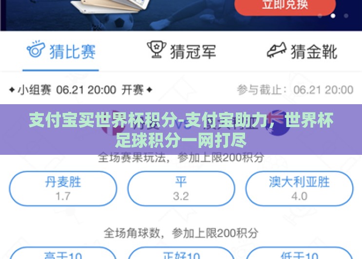 支付宝买世界杯积分-支付宝助力，世界杯足球积分一网打尽