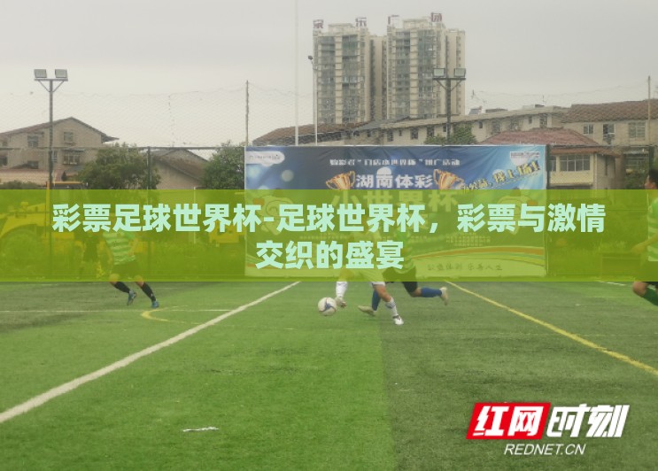 彩票足球世界杯-足球世界杯，彩票与激情交织的盛宴
