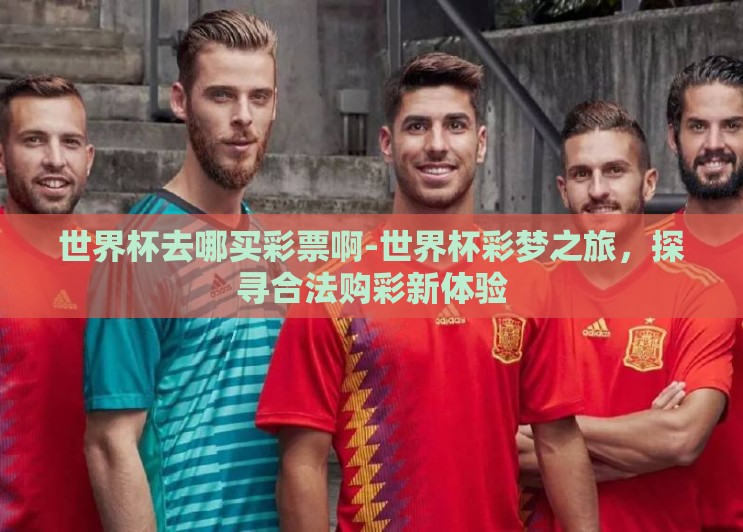 世界杯去哪买彩票啊-世界杯彩梦之旅，探寻合法购彩新体验