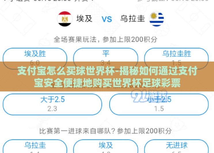支付宝怎么买球世界杯-揭秘如何通过支付宝安全便捷地购买世界杯足球彩票 支付宝怎么买球世界杯-揭秘如何通过支付宝安全便捷地购买世界杯足球彩票