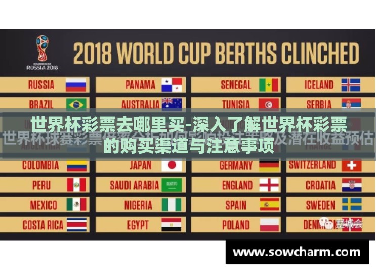 世界杯彩票去哪里买-深入了解世界杯彩票的购买渠道与注意事项 世界杯彩票去哪里买-深入了解世界杯彩票的购买渠道与注意事项