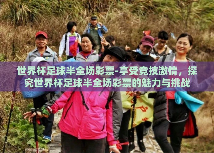 世界杯足球半全场彩票-享受竞技激情,探究世界杯足球半全场彩票的魅力与挑战 世界杯足球半全场彩票-享受竞技激情,探究世界杯足球半全场彩票的魅力与挑战