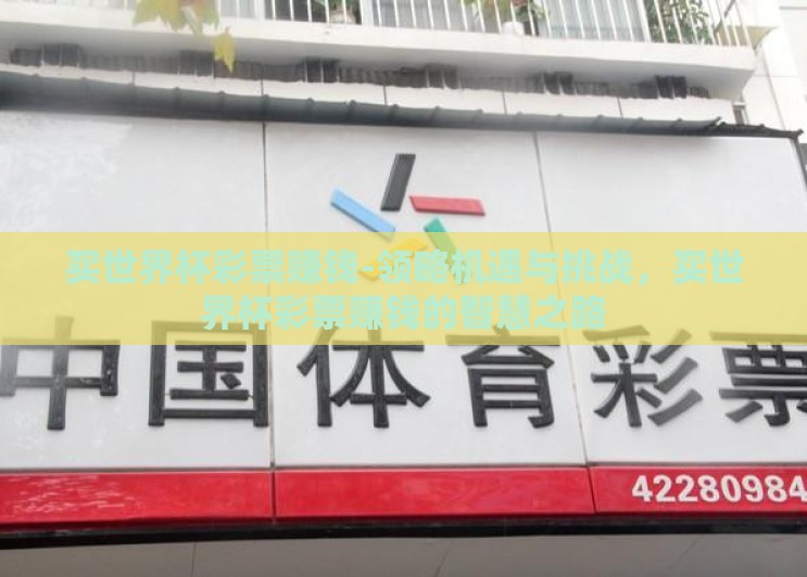 买世界杯彩票赚钱-领略机遇与挑战,买世界杯彩票赚钱的智慧之路 买世界杯彩票赚钱-领略机遇与挑战,买世界杯彩票赚钱的智慧之路